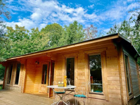 Driftwood Dreams Garden Cabin